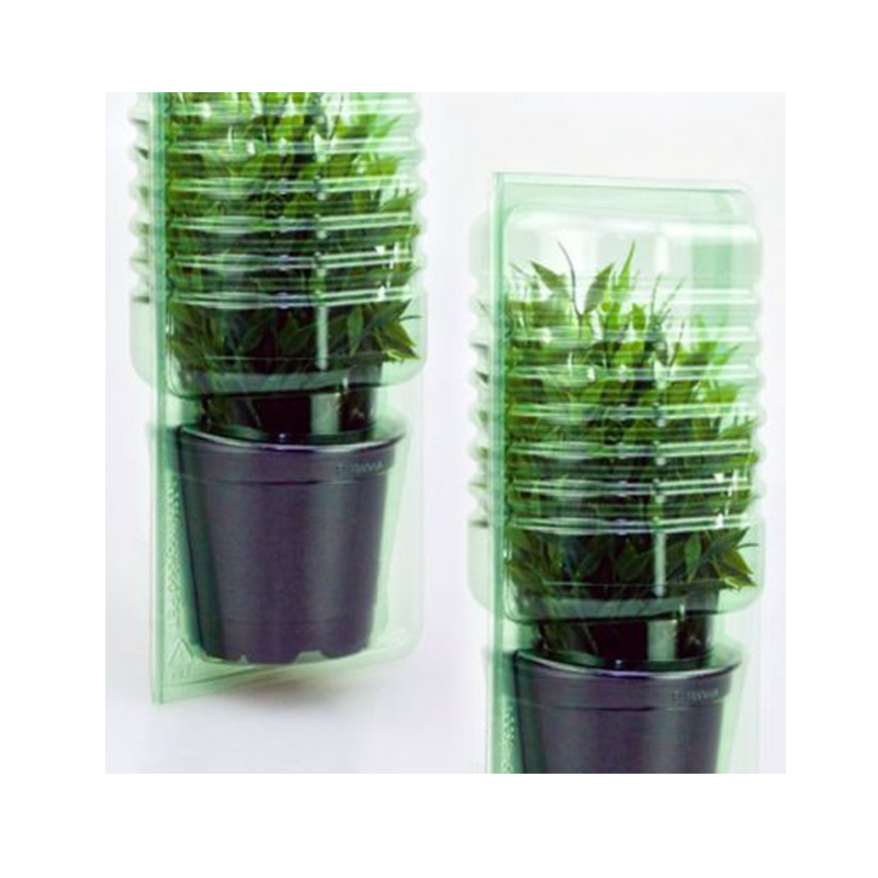 5 Stk. Pflanzen-Versand-Verpackungen max. Laubhöhe 18cm