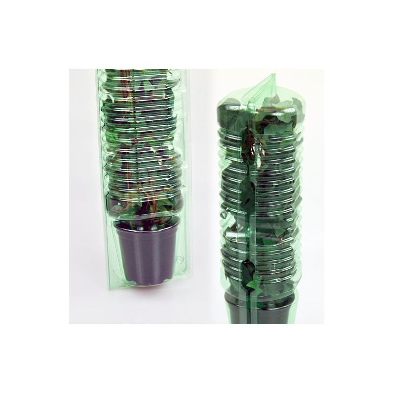 5 Stk. Pflanzen-Versand-Verpackungen max. Laubhöhe 30cm