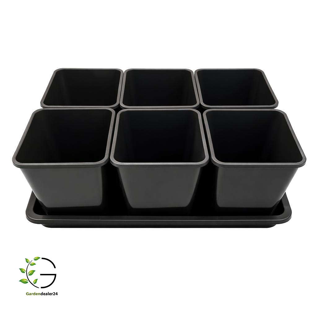Anzucht-Set aus 6 Pflanztöpfen 5,6l inkl. Untersetzer
