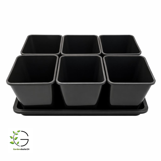 Anzucht-Set aus 6 Pflanztöpfen 5,6l inkl. Untersetzer