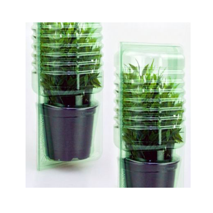 5 Stk. Pflanzen-Versand-Verpackungen max. Laubhöhe 18cm