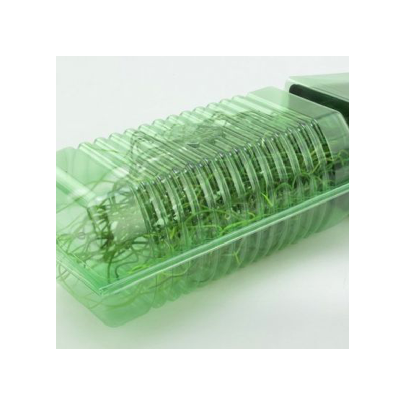 5 Stk. Pflanzen-Versand-Verpackungen max. Laubhöhe 28cm