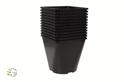 Pflanzentöpfe Anzuchttöpfe 2,0l eckig schwarz 14x14x14 cm (Staffelpreise)