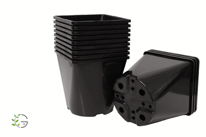 Pflanzentöpfe Anzuchttöpfe 2,0l eckig schwarz 14x14x14 cm (Staffelpreise)