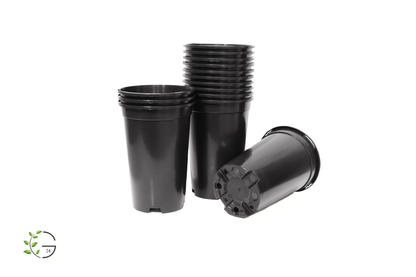 Rosentopf / Palmentopf 3,0l (Staffelpreise)