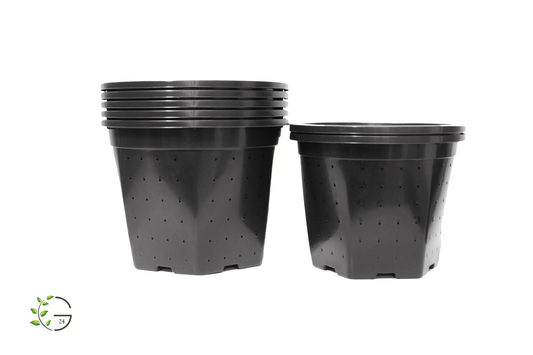 Spezial-Pflanztopf mit rundum Drainage 10 Liter