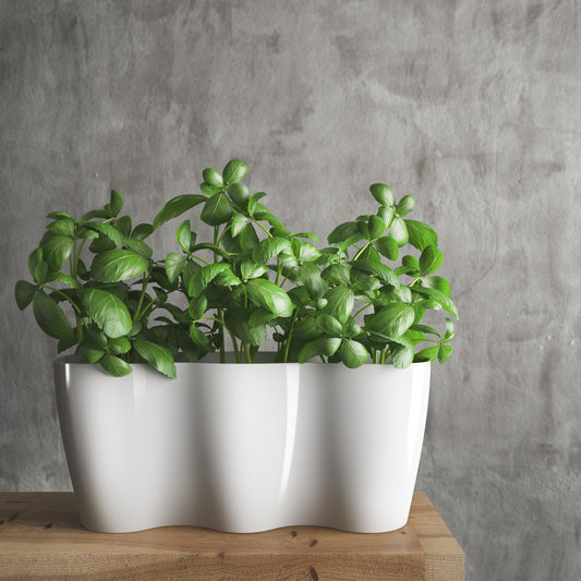 Kräutertopf Trio