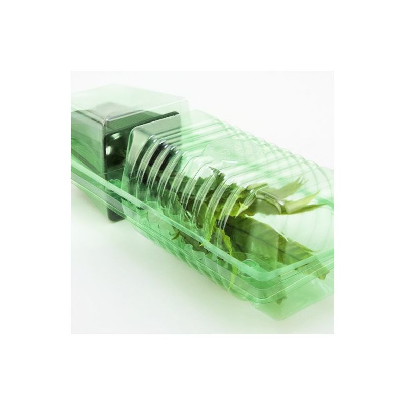 5 Stk. Pflanzen-Versand-Verpackungen max. Laubhöhe 20cm