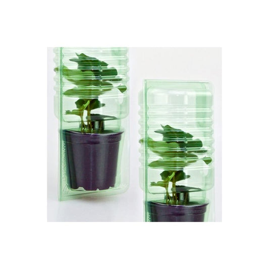 Versandverpackungen für Pflanzen Gardendealer24