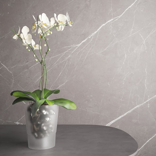 Orchideentopf Laelia